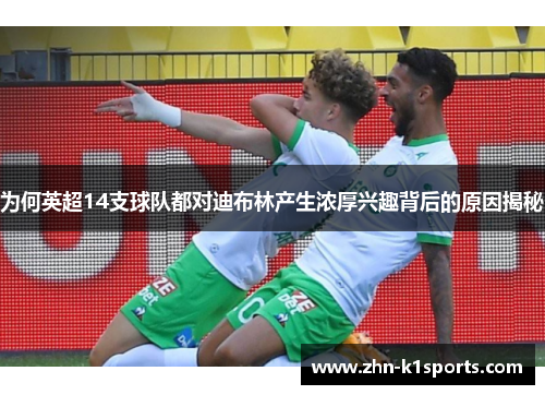 为何英超14支球队都对迪布林产生浓厚兴趣背后的原因揭秘