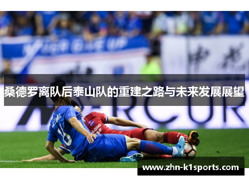 桑德罗离队后泰山队的重建之路与未来发展展望