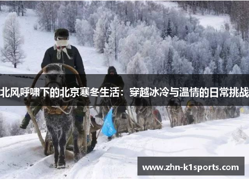 北风呼啸下的北京寒冬生活：穿越冰冷与温情的日常挑战