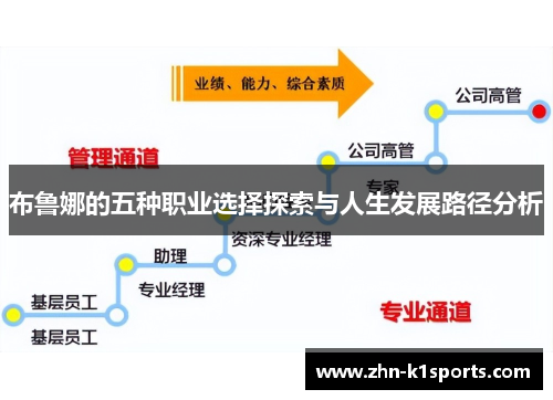 布鲁娜的五种职业选择探索与人生发展路径分析