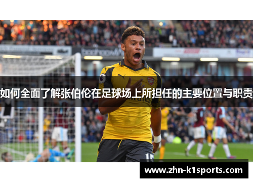 如何全面了解张伯伦在足球场上所担任的主要位置与职责