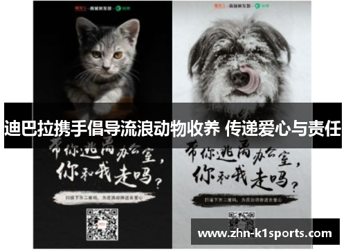 迪巴拉携手倡导流浪动物收养 传递爱心与责任